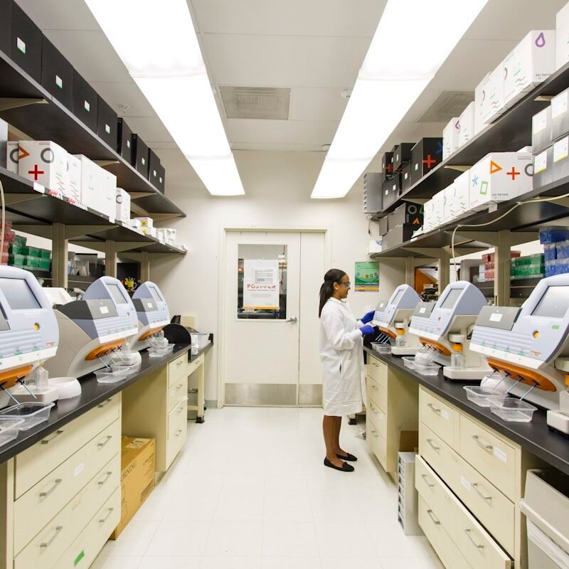 lab